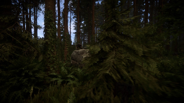 森林之子收集与版本栏目